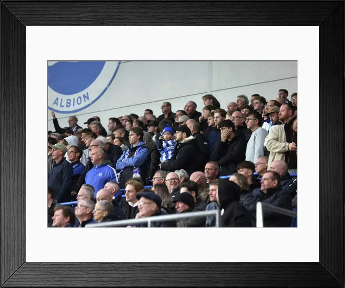 Framed Print : Brighton and Hove Albion v Leeds United Premier League 01NOV25