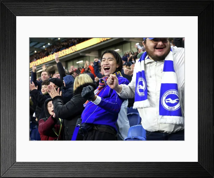 Framed Print : Brighton and Hove Albion v Leeds United Premier League 01NOV25