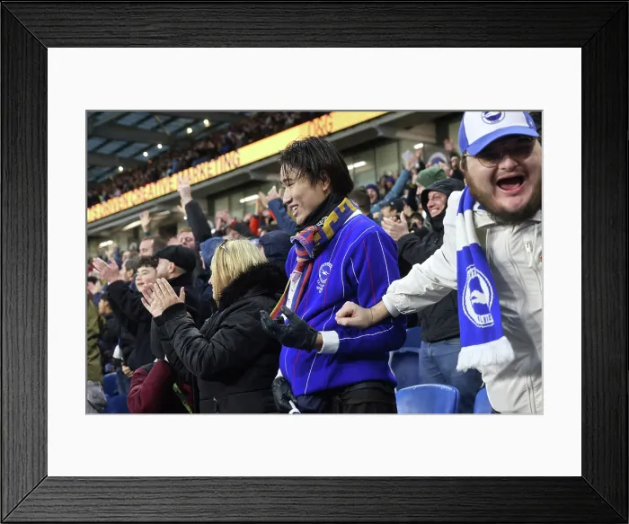 Framed Print : Brighton and Hove Albion v Leeds United Premier League 01NOV25