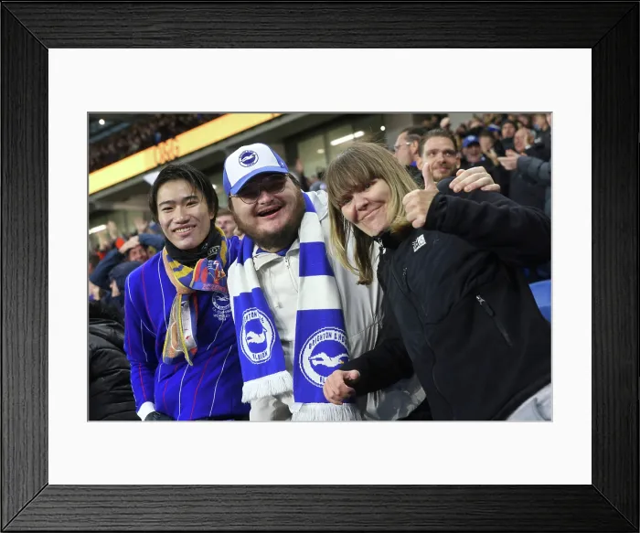 Framed Print : Brighton and Hove Albion v Leeds United Premier League 01NOV25