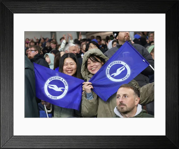Framed Print : Brighton and Hove Albion v Leeds United Premier League 01NOV25