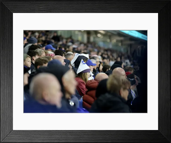 Framed Print : Brighton and Hove Albion v Leeds United Premier League 01NOV25