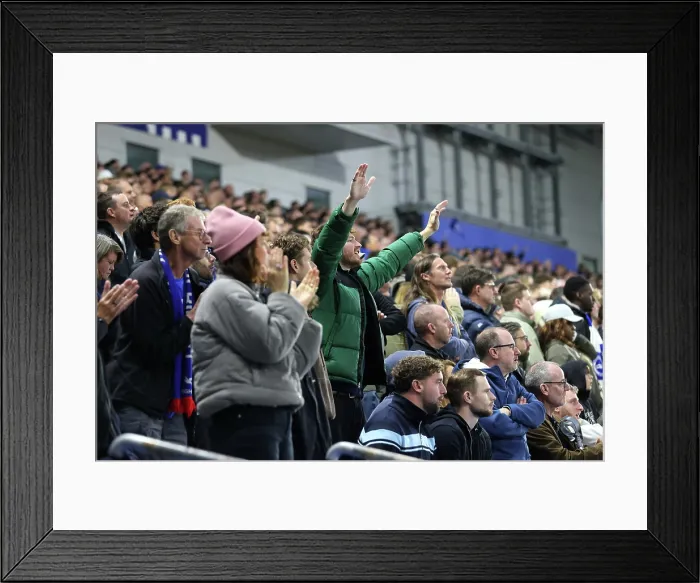 Framed Print : Brighton and Hove Albion v Leeds United Premier League 01NOV25