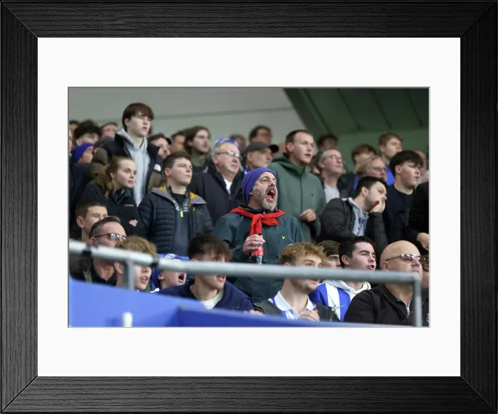 Framed Print : Brighton and Hove Albion v Leeds United Premier League 01NOV25