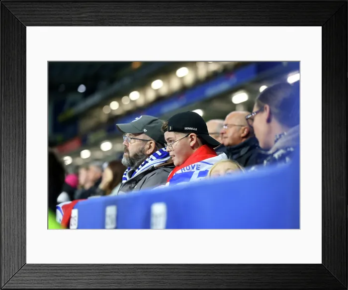 Framed Print : Brighton and Hove Albion v Leeds United Premier League 01NOV25