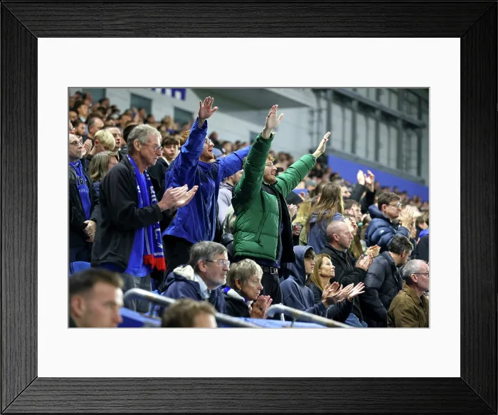 Framed Print : Brighton and Hove Albion v Leeds United Premier League 01NOV25