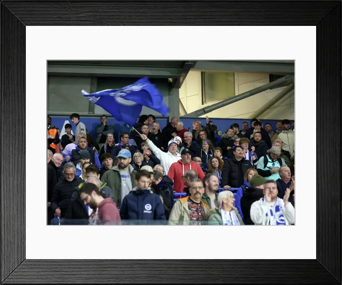 Framed Print : Brighton and Hove Albion v Leeds United Premier League 01NOV25