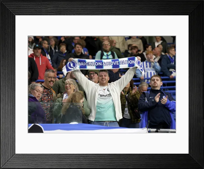 Framed Print : Brighton and Hove Albion v Leeds United Premier League 01NOV25
