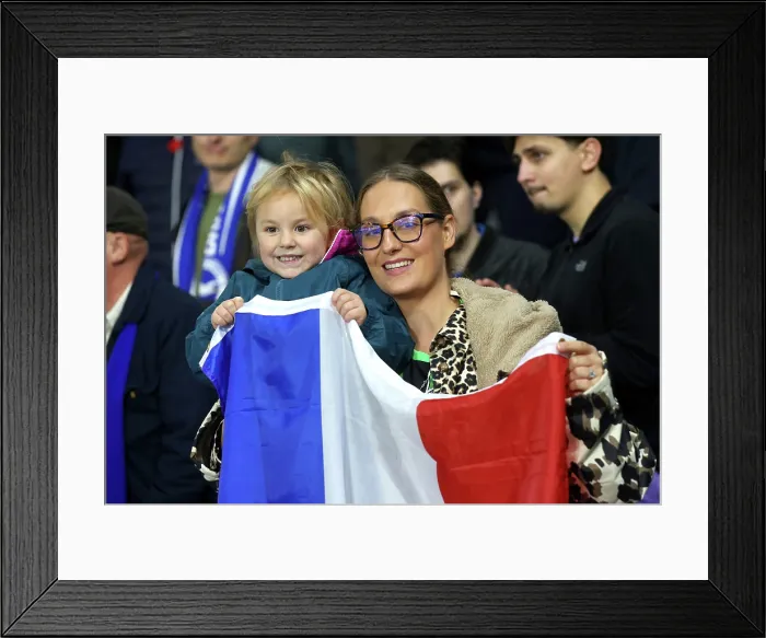 Framed Print : Brighton and Hove Albion v Leeds United Premier League 01NOV25