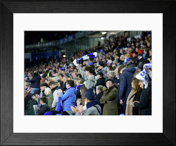 Framed Print : Brighton and Hove Albion v Leeds United Premier League 01NOV25