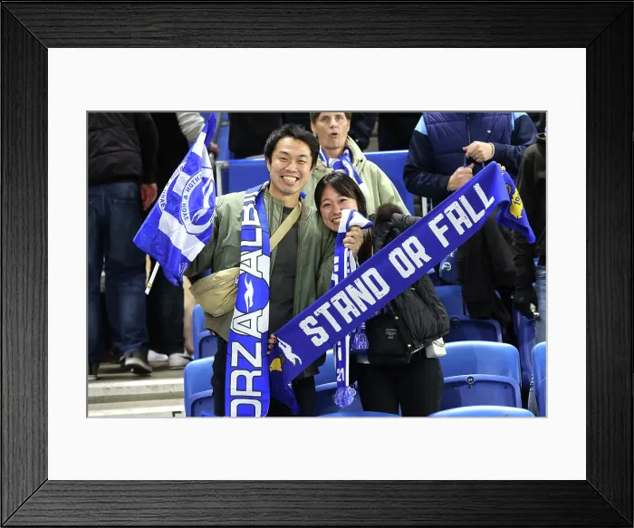 Framed Print : Brighton and Hove Albion v Leeds United Premier League 01NOV25