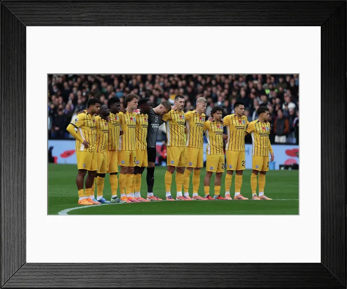 Framed Print : Crystal Palace v Brighton and Hove Albion Premier League 09NOV25 Framed Print : Crystal Palace v Brighton and Hove Albion Premier League 09NOV25