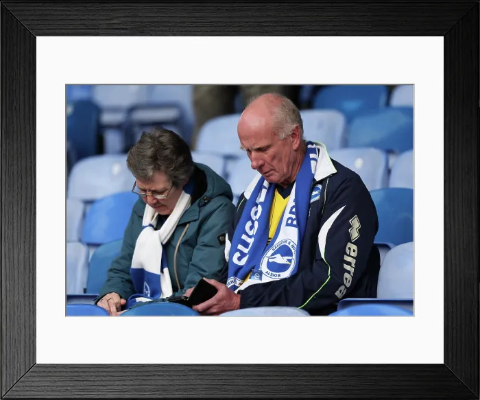 Framed Print : Crystal Palace v Brighton and Hove Albion Premier League 09NOV25 Framed Print : Crystal Palace v Brighton and Hove Albion Premier League 09NOV25