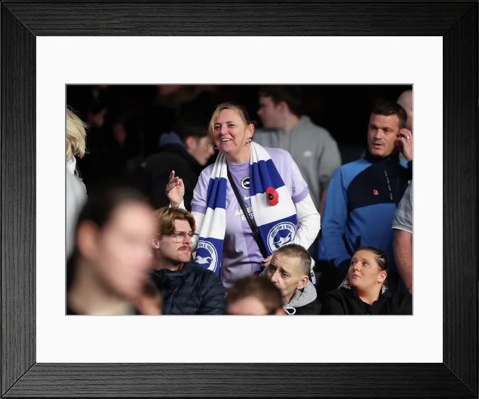 Framed Print : Crystal Palace v Brighton and Hove Albion Premier League 09NOV25