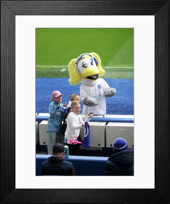 Framed Print : Brighton and Hove Albion Women v Leicester City Women Women's Super League 16NOV25 Brighton and Hove Albion Women v Leicester City Women Women's Super League 16NOV25 Framed Print : Brighton and Hove Albion Women v Leicester City Women Women's Super League 16NOV25 Brighton and Hove Albion Women v Leicester City Women Women's Super League 16NOV25