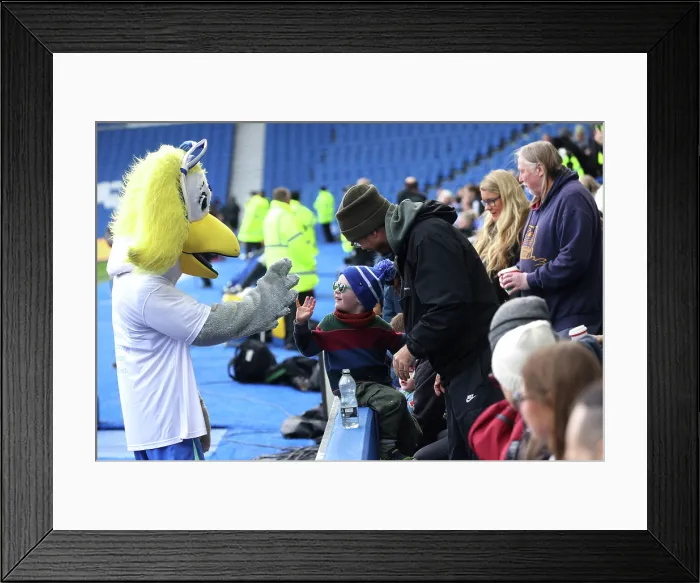 Framed Print : Brighton and Hove Albion Women v Leicester City Women Women's Super League 16NOV25 Brighton and Hove Albion Women v Leicester City Women Women's Super League 16NOV25 Framed Print : Brighton and Hove Albion Women v Leicester City Women Women's Super League 16NOV25 Brighton and Hove Albion Women v Leicester City Women Women's Super League 16NOV25