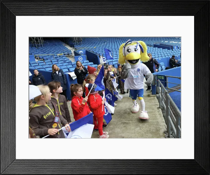 Framed Print : Brighton and Hove Albion Women v Leicester City Women Women's Super League 16NOV25 Brighton and Hove Albion Women v Leicester City Women Women's Super League 16NOV25 Framed Print : Brighton and Hove Albion Women v Leicester City Women Women's Super League 16NOV25 Brighton and Hove Albion Women v Leicester City Women Women's Super League 16NOV25