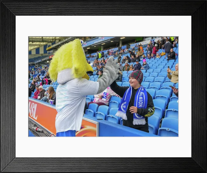 Framed Print : Brighton and Hove Albion Women v Leicester City Women Women's Super League 16NOV25 Framed Print : Brighton and Hove Albion Women v Leicester City Women Women's Super League 16NOV25