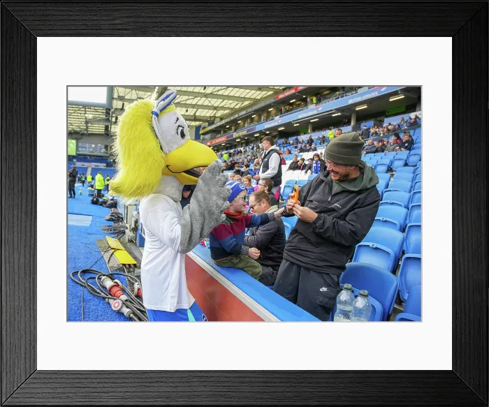 Framed Print : Brighton and Hove Albion Women v Leicester City Women Women's Super League 16NOV25 Framed Print : Brighton and Hove Albion Women v Leicester City Women Women's Super League 16NOV25