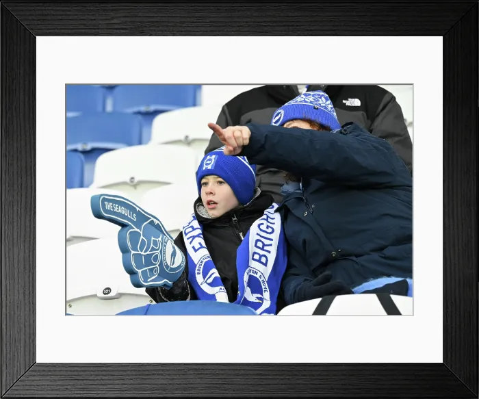 Framed Print : Brighton and Hove Albion v Brentford Premier League 22NOV25 Framed Print : Brighton and Hove Albion v Brentford Premier League 22NOV25