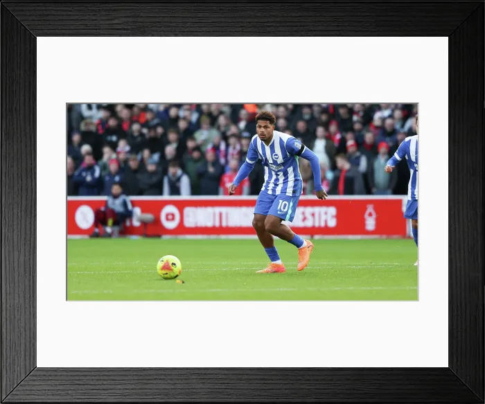 Framed Print : Nottingham Forest v Brighton and Hove Albion Premier League 26NOV25 Framed Print : Nottingham Forest v Brighton and Hove Albion Premier League 26NOV25