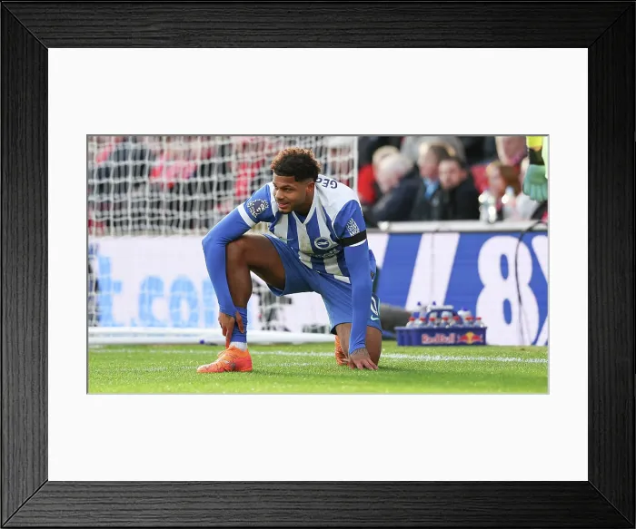 Framed Print : Nottingham Forest v Brighton and Hove Albion Premier League 26NOV25 Framed Print : Nottingham Forest v Brighton and Hove Albion Premier League 26NOV25