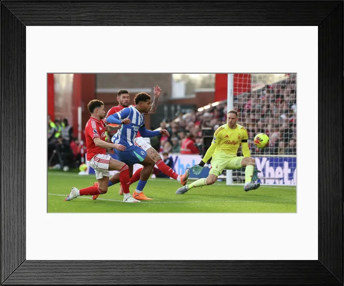 Framed Print : Nottingham Forest v Brighton and Hove Albion Premier League 26NOV25 Framed Print : Nottingham Forest v Brighton and Hove Albion Premier League 26NOV25
