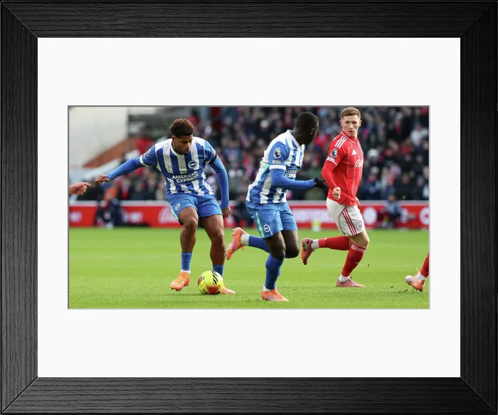 Framed Print : Nottingham Forest v Brighton and Hove Albion Premier League 26NOV25 Framed Print : Nottingham Forest v Brighton and Hove Albion Premier League 26NOV25