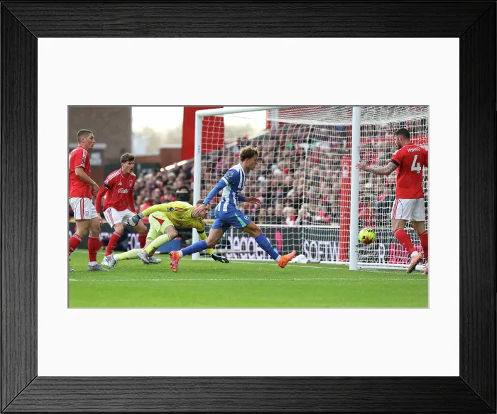 Framed Print : Nottingham Forest v Brighton and Hove Albion Premier League 26NOV25 Framed Print : Nottingham Forest v Brighton and Hove Albion Premier League 26NOV25