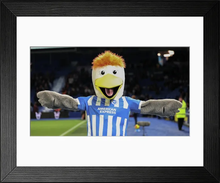 Framed Print : Brighton and Hove Albion v Aston Villa Premier League 03DEC25 Framed Print : Brighton and Hove Albion v Aston Villa Premier League 03DEC25