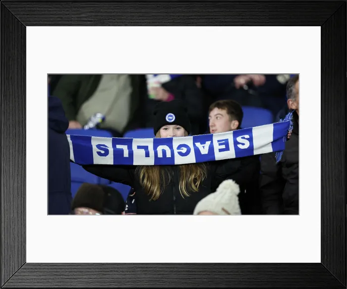 Framed Print : Brighton and Hove Albion v Aston Villa Premier League 03DEC25 Framed Print : Brighton and Hove Albion v Aston Villa Premier League 03DEC25