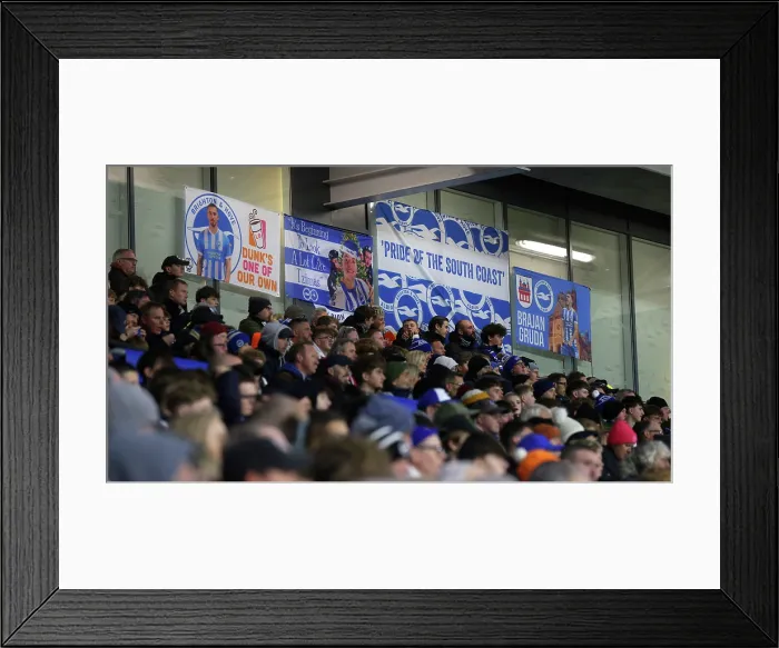 Framed Print : Brighton and Hove Albion v Aston Villa Premier League 03DEC25