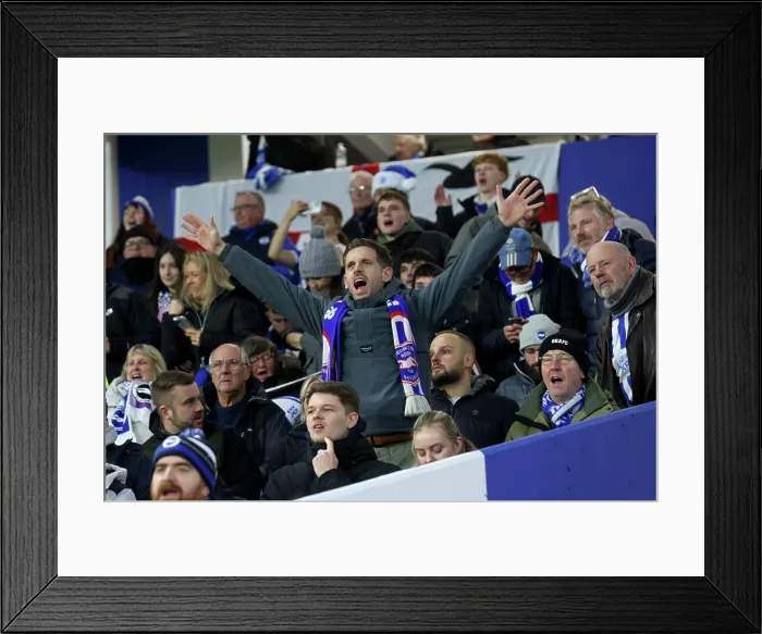 Framed Print : Brighton and Hove Albion v Aston Villa Premier League 03DEC25