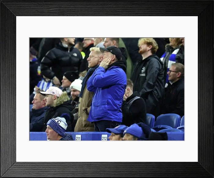 Framed Print : Brighton and Hove Albion v Aston Villa Premier League 03DEC25