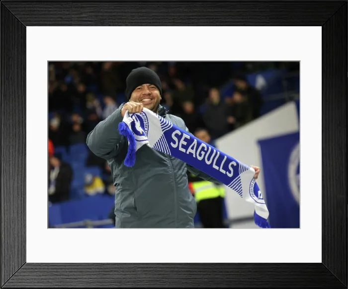 Framed Print : Brighton and Hove Albion v Aston Villa Premier League 03DEC25