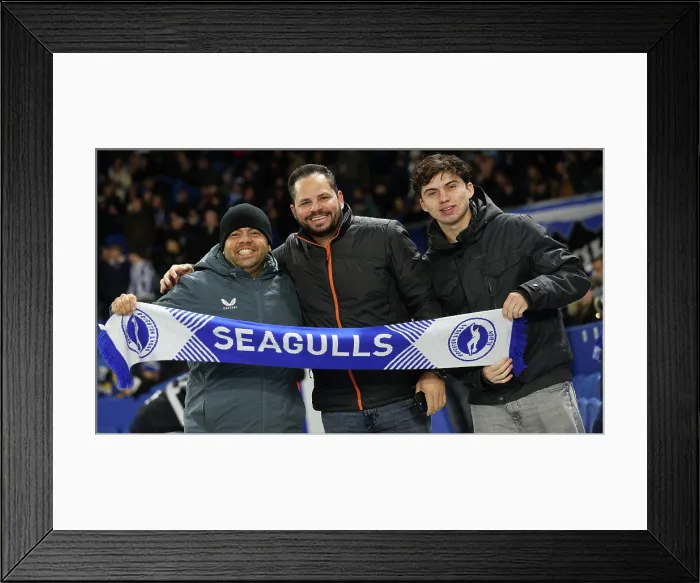 Framed Print : Brighton and Hove Albion v Aston Villa Premier League 03DEC25