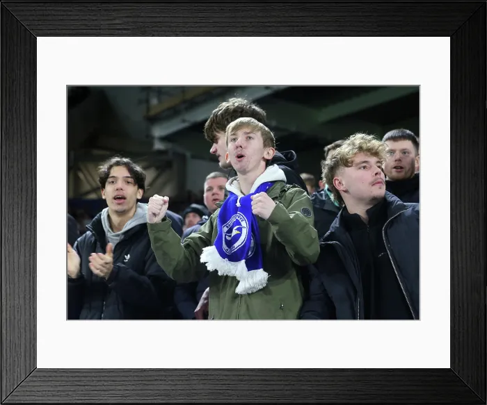 Framed Print : Brighton and Hove Albion v Aston Villa Premier League 03DEC25