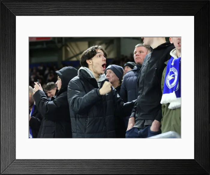 Framed Print : Brighton and Hove Albion v Aston Villa Premier League 03DEC25