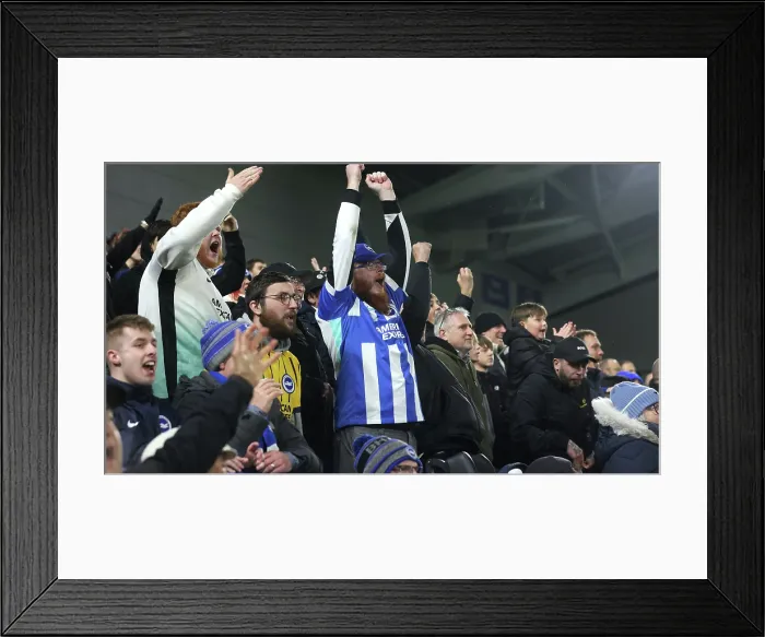 Framed Print : Brighton and Hove Albion v Aston Villa Premier League 03DEC25