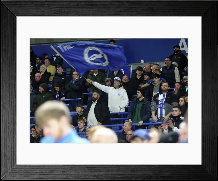 Framed Print : Brighton and Hove Albion v Aston Villa Premier League 03DEC25
