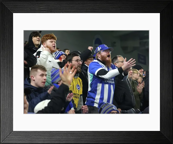 Framed Print : Brighton and Hove Albion v Aston Villa Premier League 03DEC25