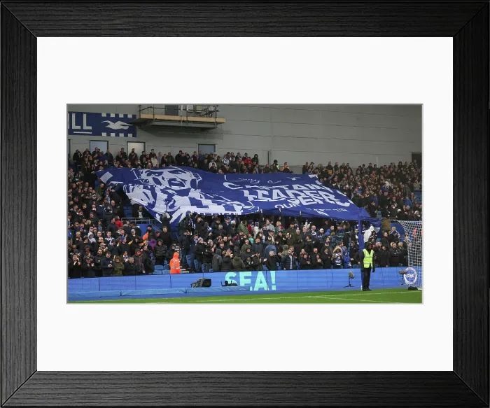 Framed Print : Brighton and Hove Albion v West Ham United Premier League 07DEC25