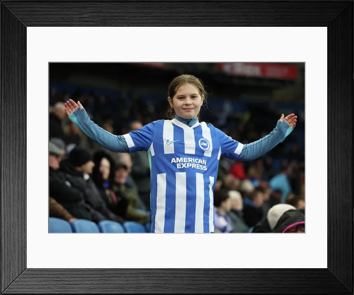 Framed Print : Brighton and Hove Albion v West Ham United Premier League 07DEC25