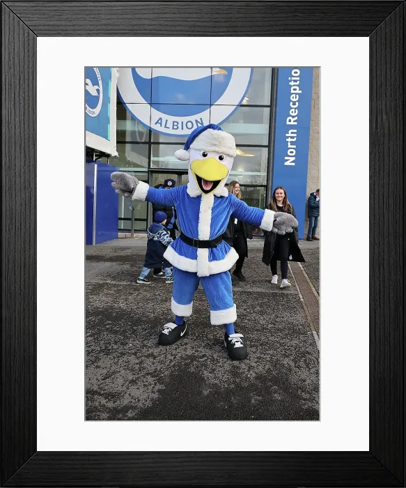 Framed Print : Brighton and Hove Albion v Sunderland Premier League 20DEC25 Framed Print : Brighton and Hove Albion v Sunderland Premier League 20DEC25