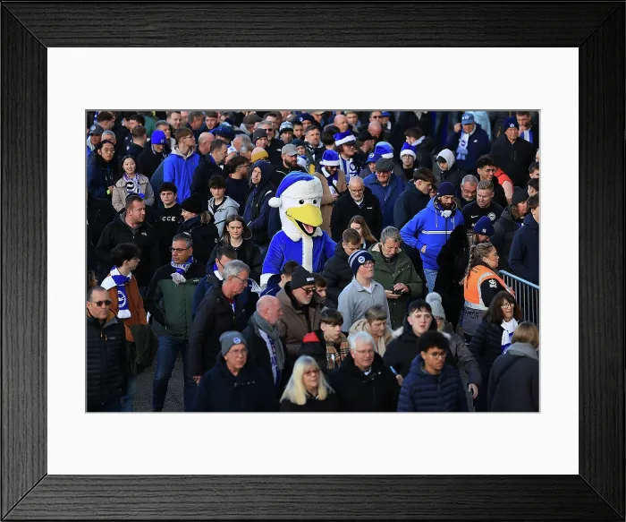 Framed Print : Brighton and Hove Albion v Sunderland Premier League 20DEC25 Framed Print : Brighton and Hove Albion v Sunderland Premier League 20DEC25
