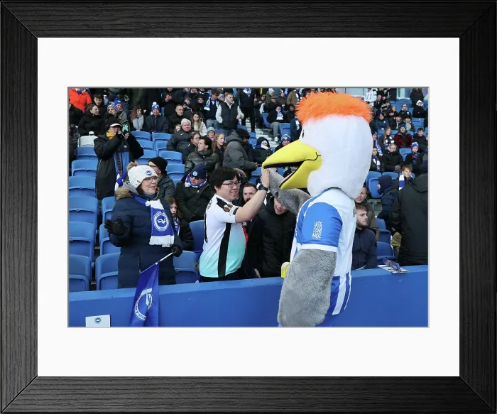 Framed Print : Brighton and Hove Albion v Burnley Premier League 03JAN26 Framed Print : Brighton and Hove Albion v Burnley Premier League 03JAN26