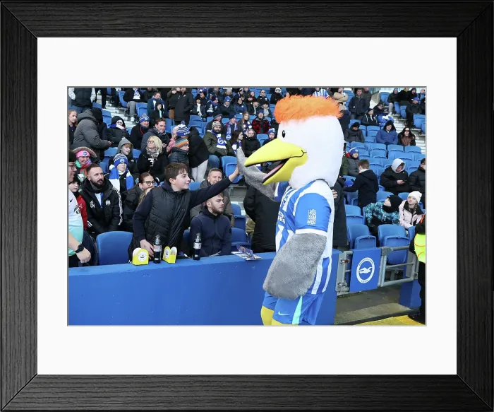 Framed Print : Brighton and Hove Albion v Burnley Premier League 03JAN26 Framed Print : Brighton and Hove Albion v Burnley Premier League 03JAN26