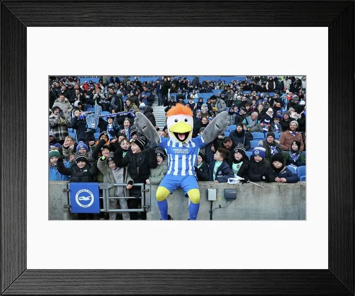 Framed Print : Brighton and Hove Albion v Burnley Premier League 03JAN26 Framed Print : Brighton and Hove Albion v Burnley Premier League 03JAN26