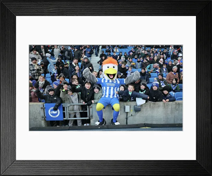 Framed Print : Brighton and Hove Albion v Burnley Premier League 03JAN26