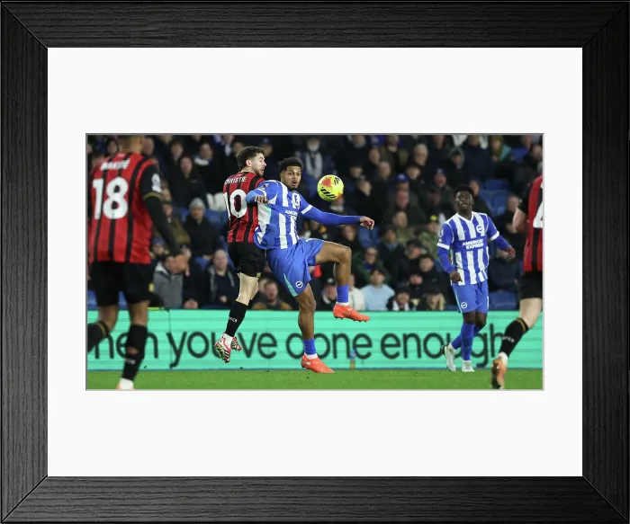 Framed Print : Brighton and Hove Albion v Bournemouth Premier League 19JAN26 Framed Print : Brighton and Hove Albion v Bournemouth Premier League 19JAN26